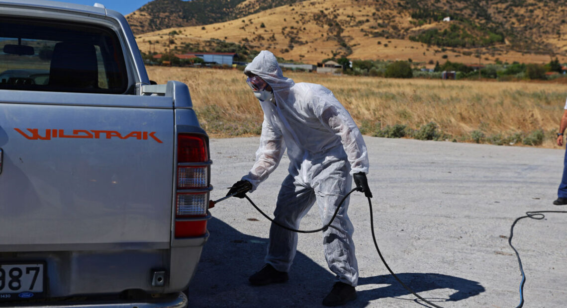 Ασπίδα Προστασίας για την Κτηνοτροφία: Ενεργοποίηση Νέων Απολυμαντικών Σταθμών στη Χαλκιδική