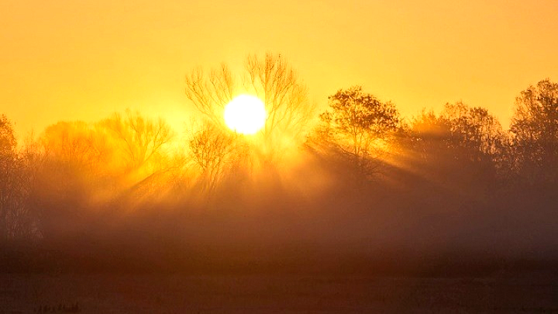 Το 2025 οδεύει να γίνει το δεύτερο θερμότερο έτος που καταγράφτηκε ποτέ