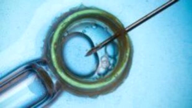 18 παιδιά από 11 οικογένειες στην Ελλάδα με δότη σπέρματος από τη Δανία φέρουν γενετική μετάλλαξη