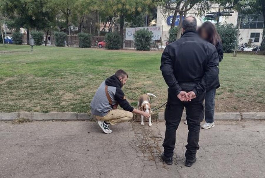 Θεσσαλονίκη: Στοχευμένοι έλεγχοι για ζώα συντροφιάς – Δεκάδες πρόστιμα σε έναν μήνα