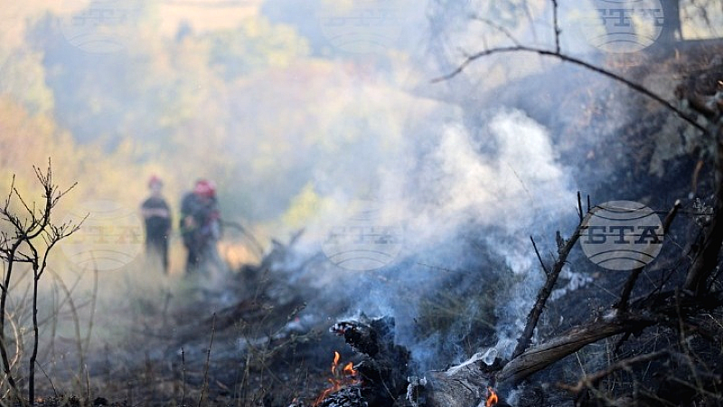 Βουλγαρία: Στις κορυφαία θύματα των δασικών πυρκαγιών στην ΕΕ το 2024