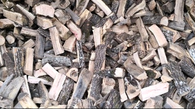 Χαλκιδική: Τραγωδία για 79χρονο άνδρα που καταπλακώθηκε από κορμό δέντρου