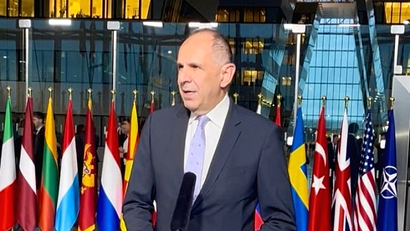 Γ. Γεραπετρίτης: Απαγόρευση της επιθετικότητας και του αναθεωρητισμού στον σύγχρονο κόσμο