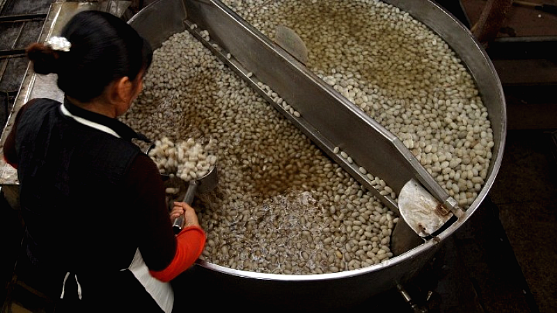 Η Κίνα κυριαρχεί στην παγκόσμια παραγωγή κουκουλιών μεταξοσκώληκα