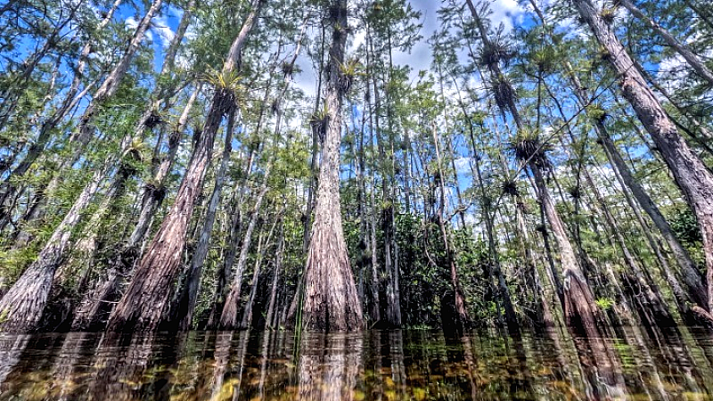 Η είσοδος στα εθνικά πάρκα των ΗΠΑ δωρεάν για τους Αμερικανούς πολίτες στα γενέθλια του Ντ. Τραμπ
