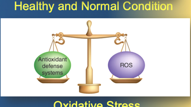 Οξειδωτικό στρες: Ο άγνωστος εχθρός της υγείας μας