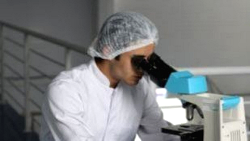 Η σύνδεση ανάμεσα στις ηφαιστειακές εκρήξεις και την εξάπλωση της Μαύρης Πανώλης στη μεσαιωνική Ευρώπη