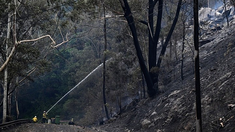 Τραγωδία στην Αυστραλία: Πυροσβέστης σκοτώθηκε από πτώση δέντρου κατά την κατάσβεση δασικής πυρκαγιάς