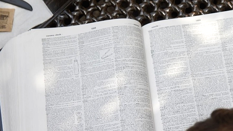 Η έννοια του «δόλωμα οργής» ανακηρύσσεται Λέξη της Χρονιάς 2025 από το Λεξικό της Οξφόρδης