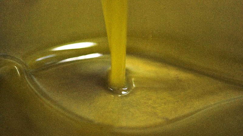 Δρόμοι του λαδιού: Ρεπορτάζ από τα χωριά Πυργιώτικα και Δήμαινα