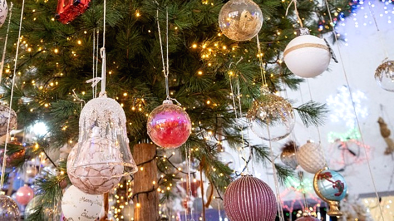 Εορταστική φωταγώγηση του χριστουγεννιάτικου δέντρου στο ΑΠΘ