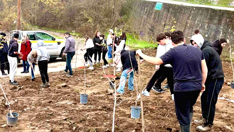 Ξάνθη: Μαθητές δημιουργούν οπωρώνα ως μέρος ευρωπαϊκής πρωτοβουλίας