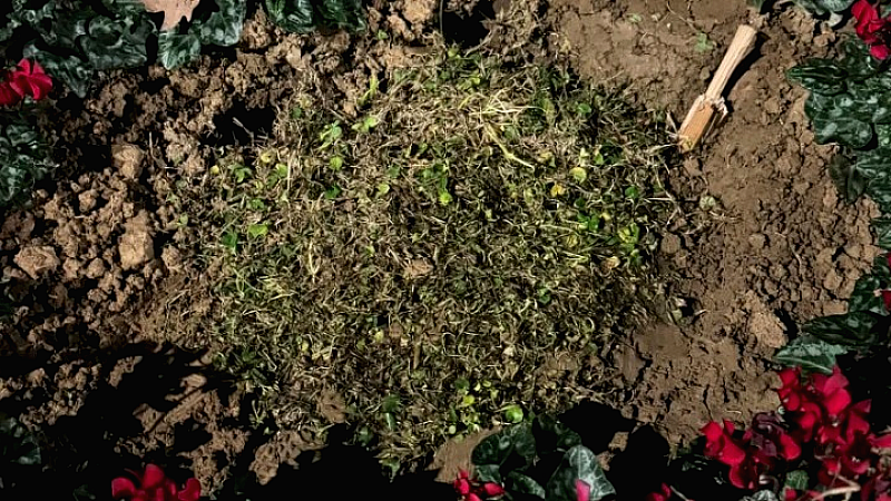 Απαγωγή και εξαφάνιση της μαρμάρινης πλάκας για τις κακοποιημένες γυναίκες στη Θεσσαλονίκη