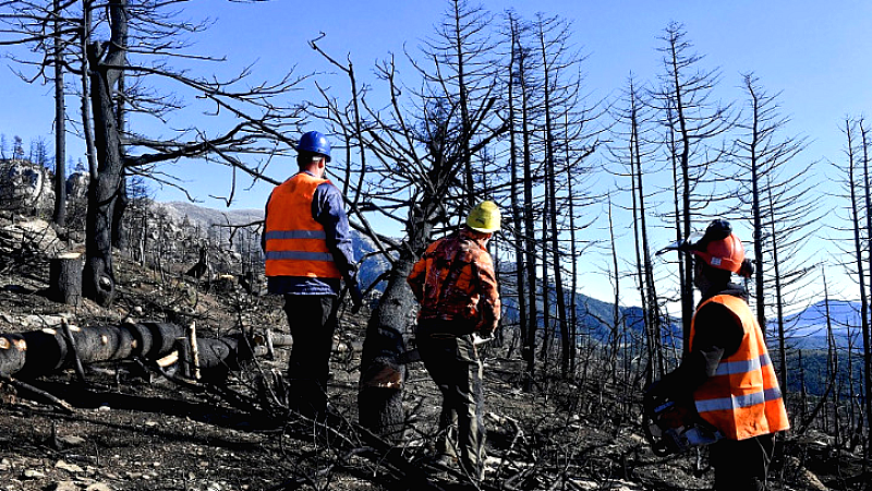 Υπογραφή της έγκρισης του Εθνικού Χάρτη Εκτίμησης Κινδύνου Δασικών Πυρκαγιών
