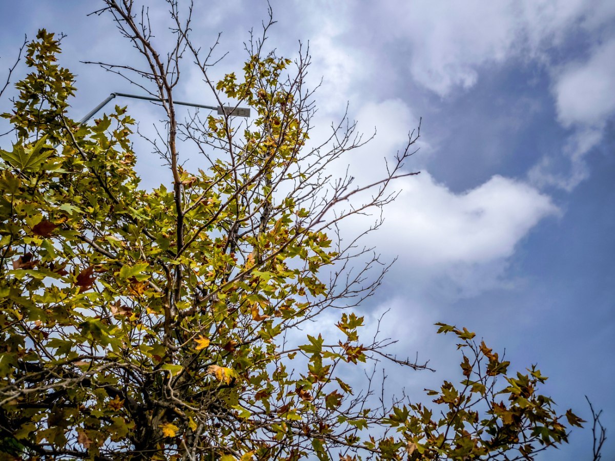 Καιρός: Αίθριος σε μεγάλο μέρος της χώρας με πιθανές βροχές