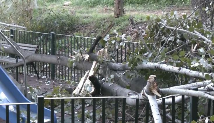 Χαϊδάρι: Επικίνδυνο περιστατικό με πτώση δέντρου σε παιδική χαρά