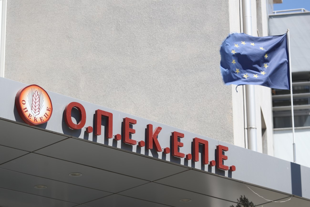 Σκάνδαλο ΟΠΕΚΕΠΕ: Επιχειρήσεις με στόχο το ξέπλυμα επιδοτήσεων