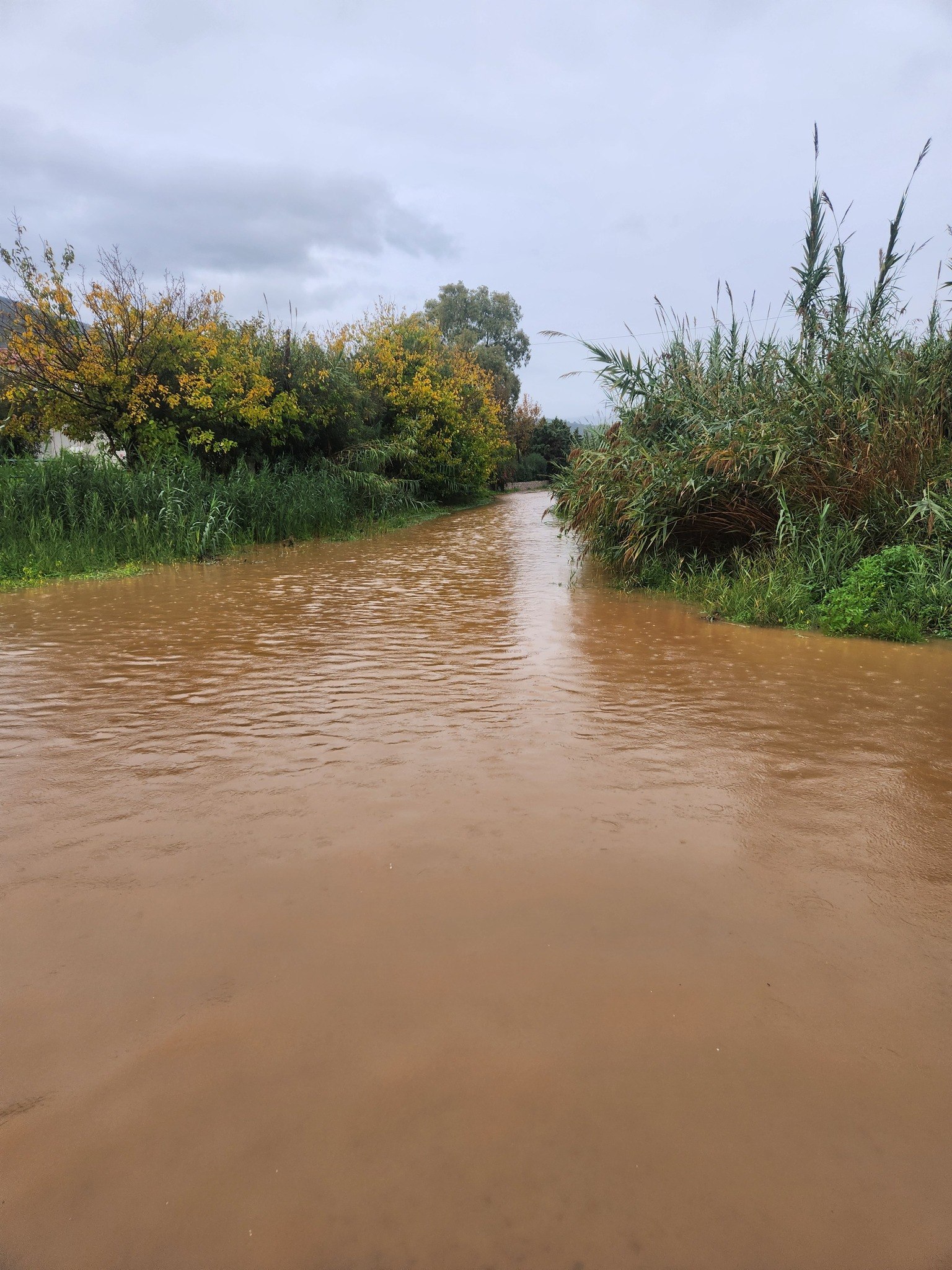 Αίτημα κήρυξης του Δήμου Επιδαύρου σε κατάσταση έκτακτης ανάγκης λόγω του φαινομένου Byron