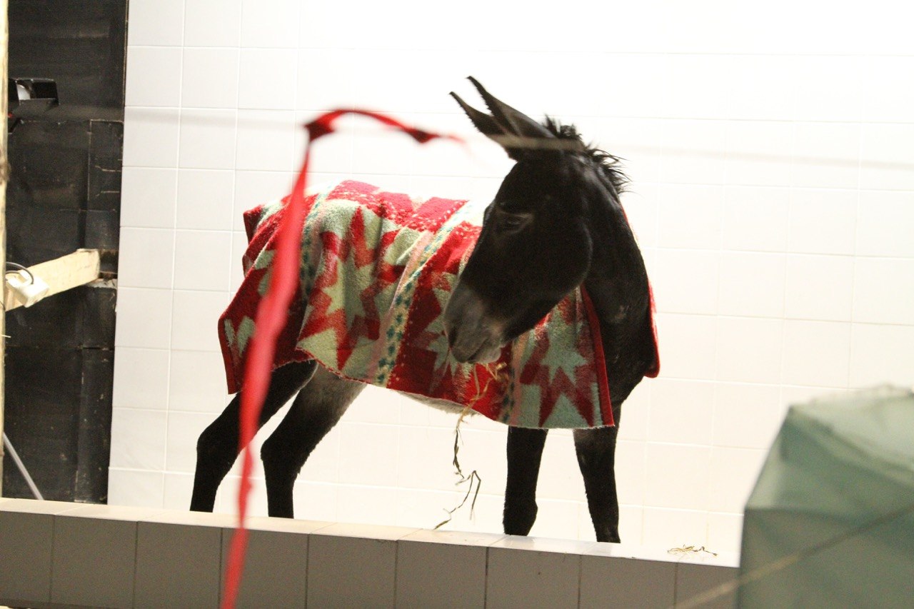 Η έκθεση all eyes on palestine στην Αθήνα: Η σύγχρονη τέχνη ως μέσο αντίστασης